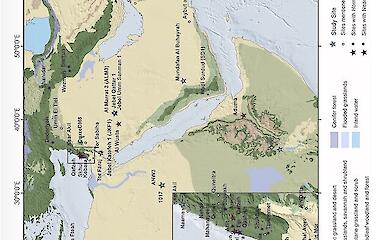 Traces of Neanderthals have been found deep in Arabia &mdash; but not a single bone has been found there