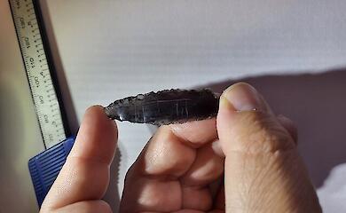 Mysterious symbols have been found on 9,000-year-old arrowheads — no one understands what they mean