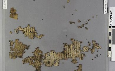 The museum has restored a 1,600-year-old Roman text on taxation of unknown origin
