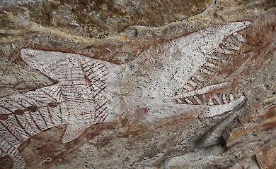 A giant snake was found on the ceiling of a cave – it is nearly 7 metres long