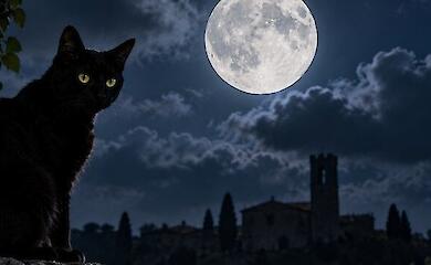 A black cat against a full moon as a symbol of superstitions about the full moon and unlucky dates