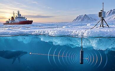 Schematic illustration of an under-ice Arctic communication system with a sensor beneath the ice and a receiver on the surface
