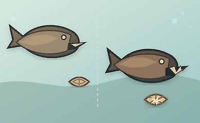 Ancient armoured fish crushed their prey in two ways