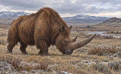 A two-horned woolly rhinoceros stands in the cool steppe against a backdrop of mountains.