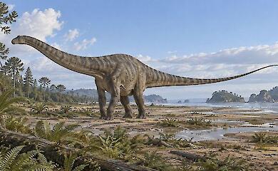 A diplodocus with a long neck and tail on the coastal plain of the Jurassic period.